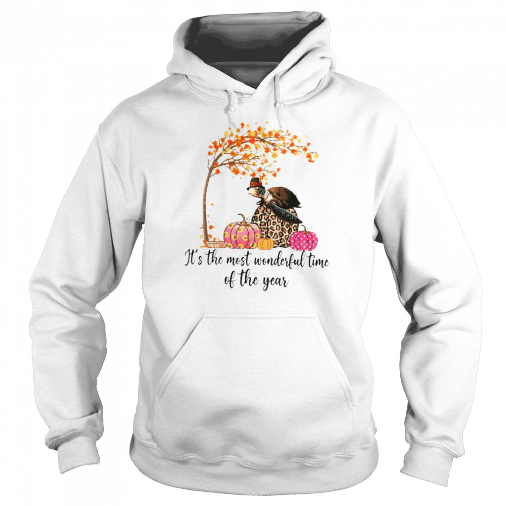 Turtle Autumn it’s the most wonderful world time of the year shirt Unisex Hoodie