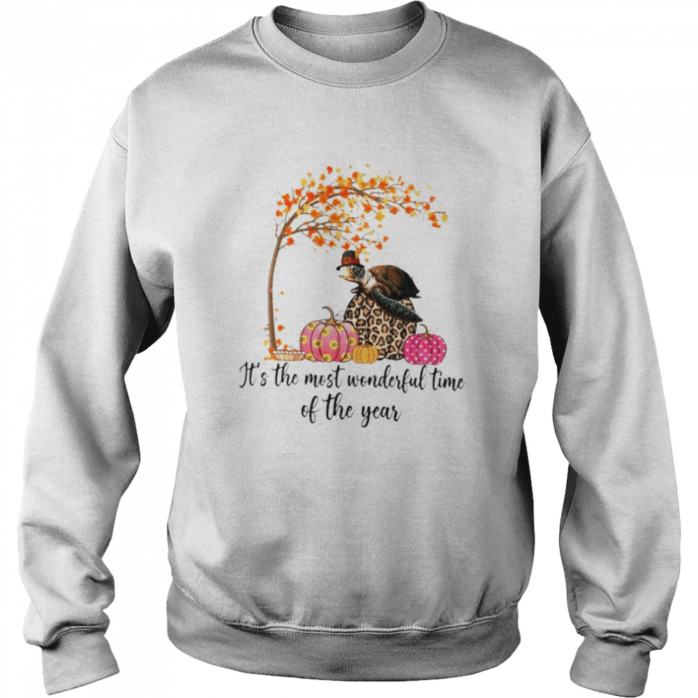 Turtle Autumn it’s the most wonderful world time of the year shirt Unisex Sweatshirt