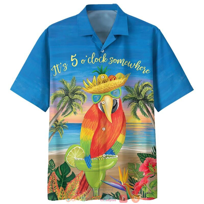 Parrot It’s 5 O’Clock Somewhere Who Cares Hawaiian Shirt  For Men & Women  HL2666