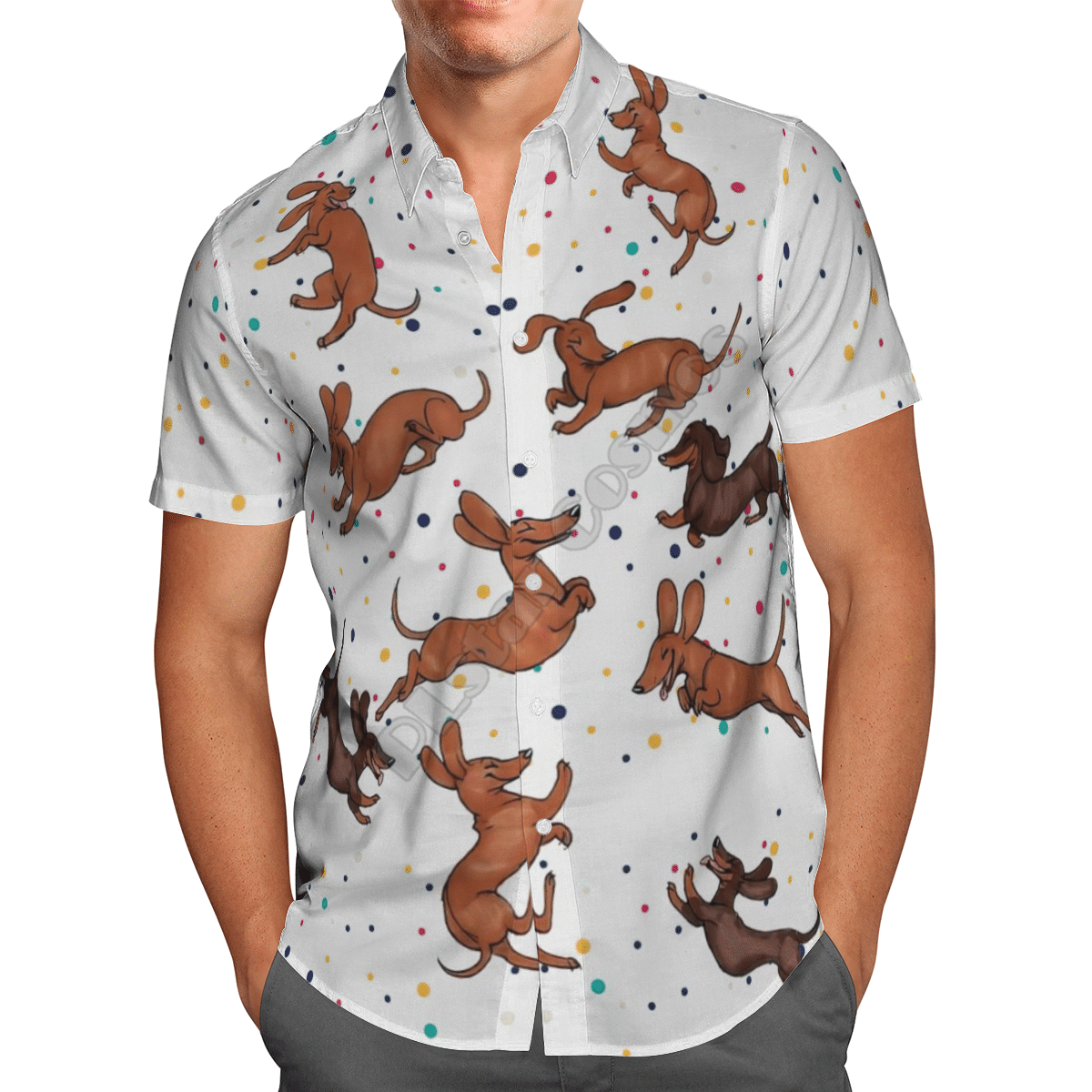 Funny Dachshund  White High Quality Unisex Hawaiian Shirt For Men And Women Dhc17064099