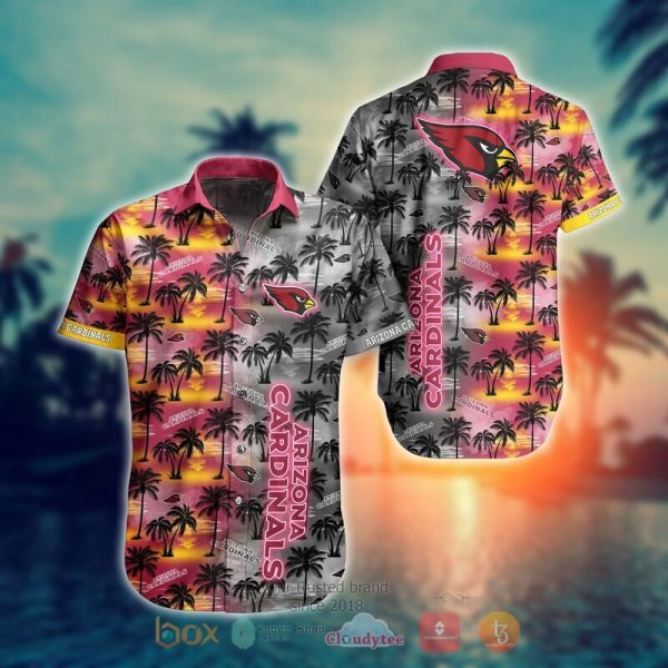 Arizona Cardinals 3D Hawaiian Shirt And Shorts For Men And Women