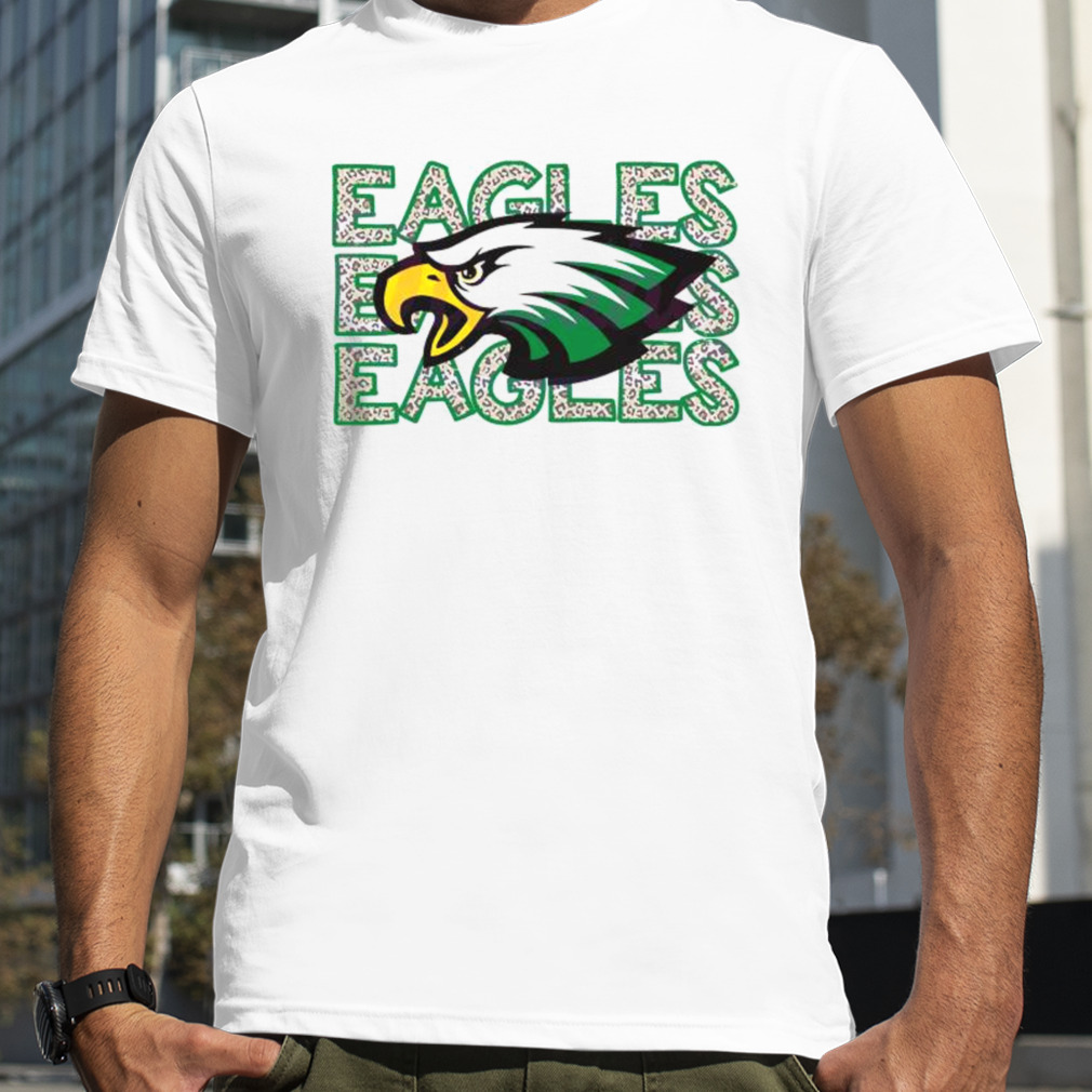 NFL Philadelphia Eagles Men's Transition Black Long Sleeve T-Shirt - S