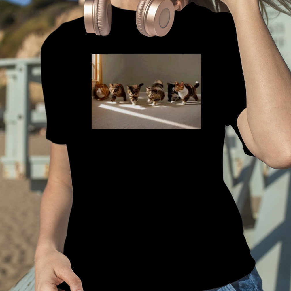 Gay sex cats shirt