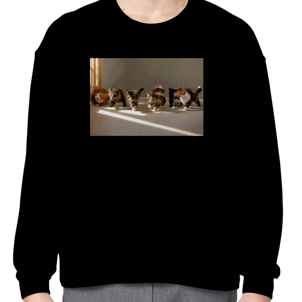 Gay sex cats shirt