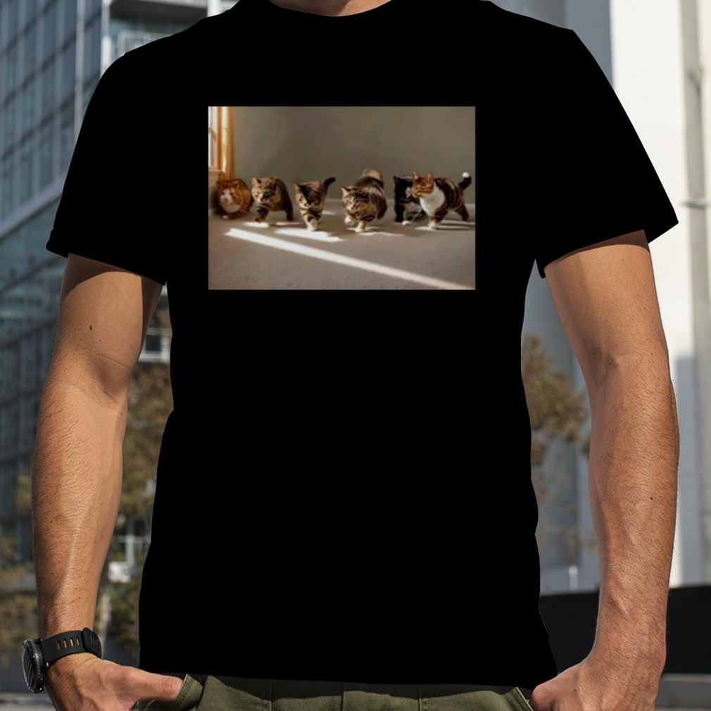 Gay sex cats shirt