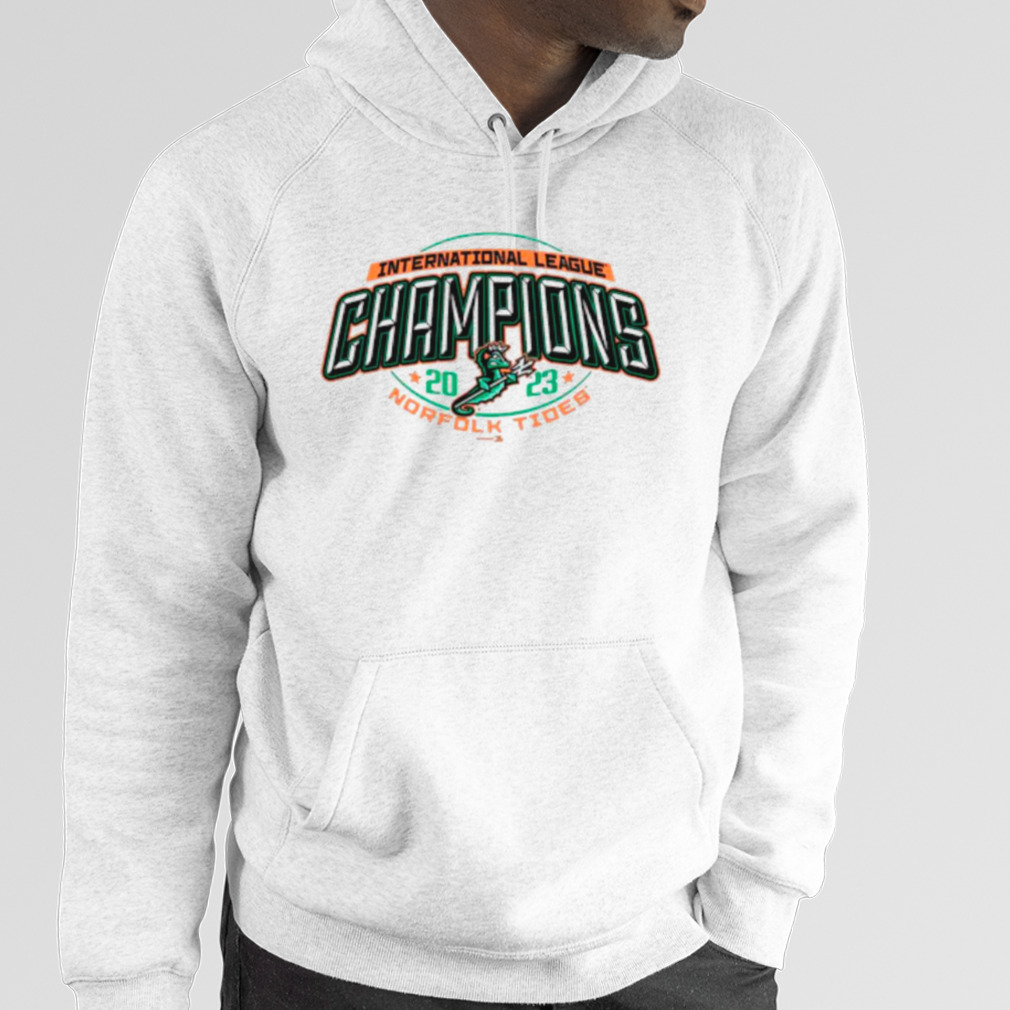 Norfolk Tides Champion Jersey Long Sleeve T-Shirt - Gray