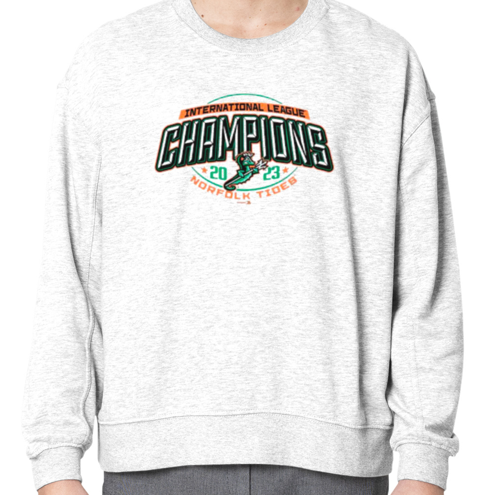 Norfolk Tides Champion Jersey Long Sleeve T-Shirt - Gray