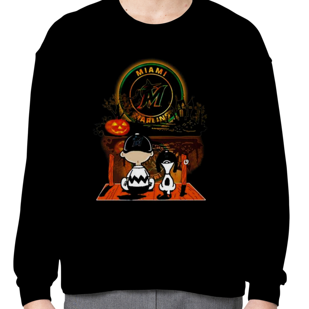 Houston Astros Snoopy and Charlie Brown Sit Under Moon Peanuts Halloween  2023 Shirt, hoodie, longsleeve, sweater