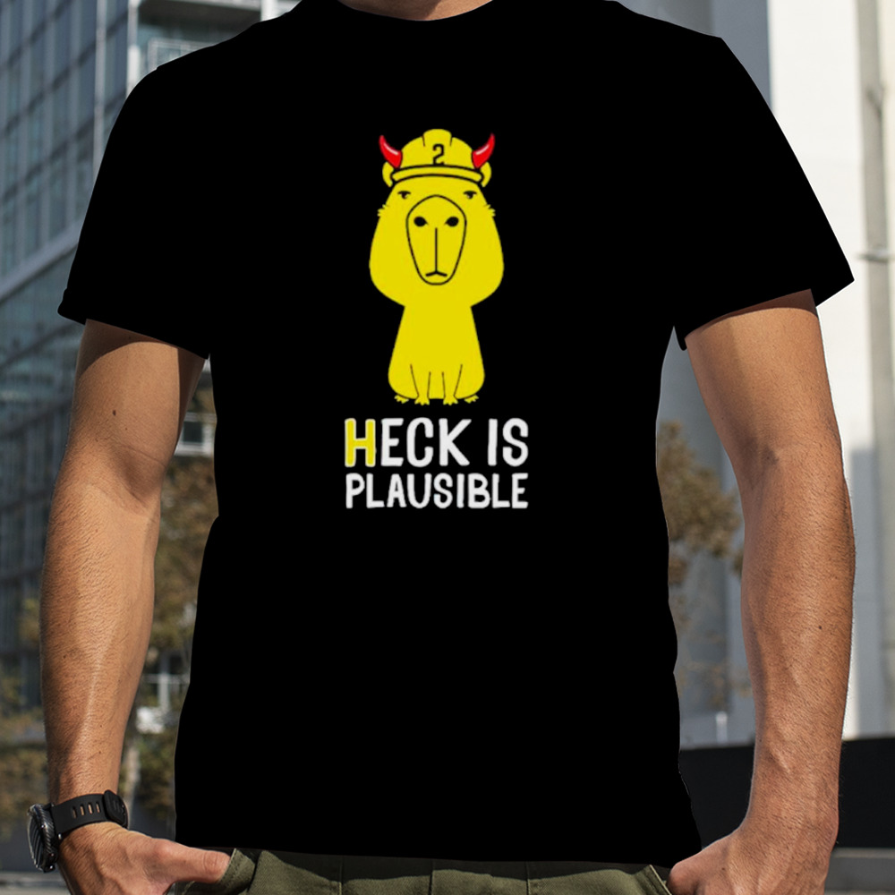 Heck is plausible 2023 shirt