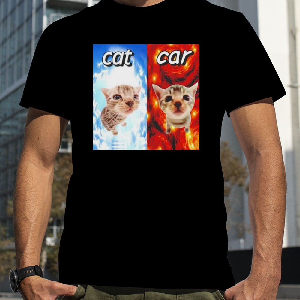 Cat vs Car Heaven And Hell T-Shirt