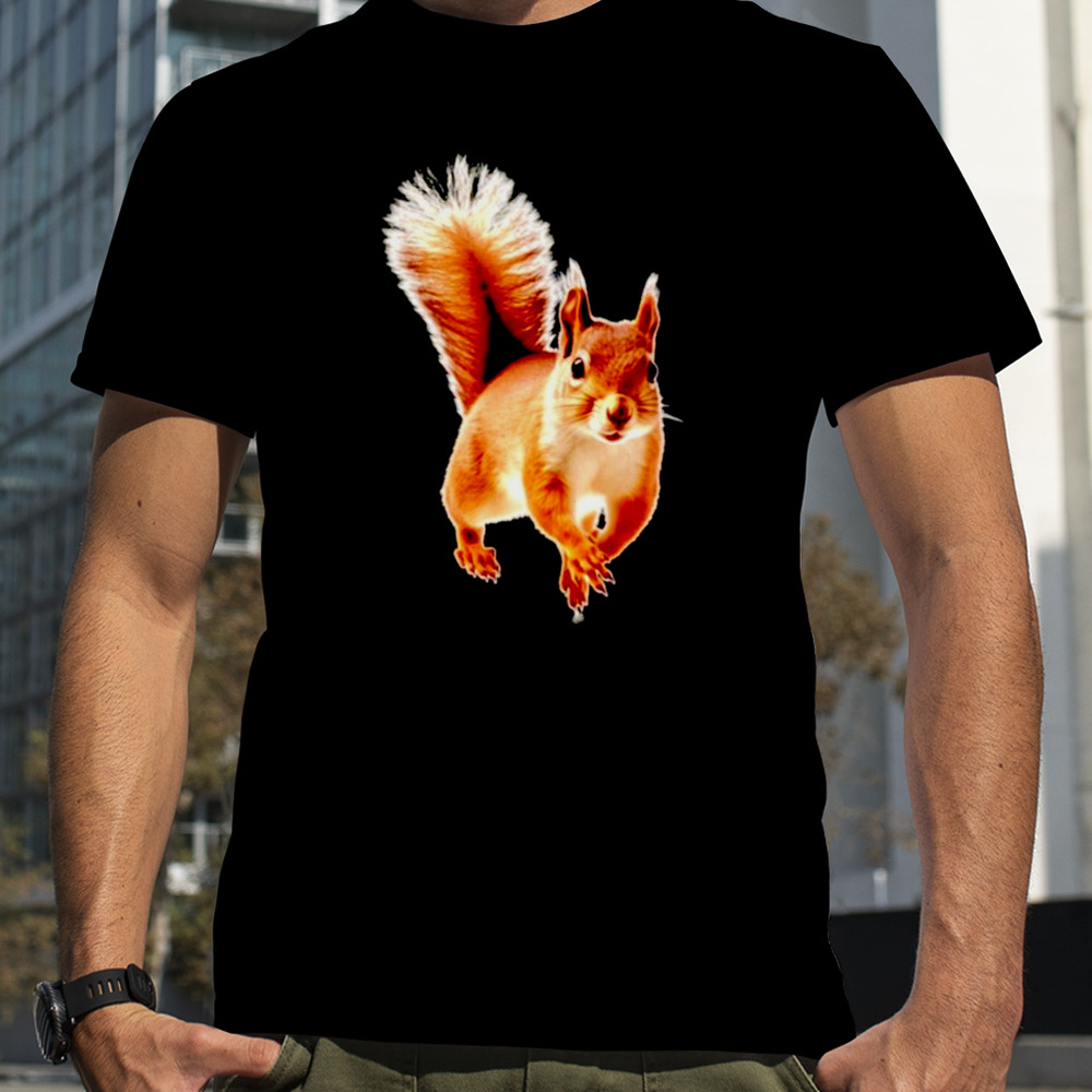 Best photo of squirre shirt