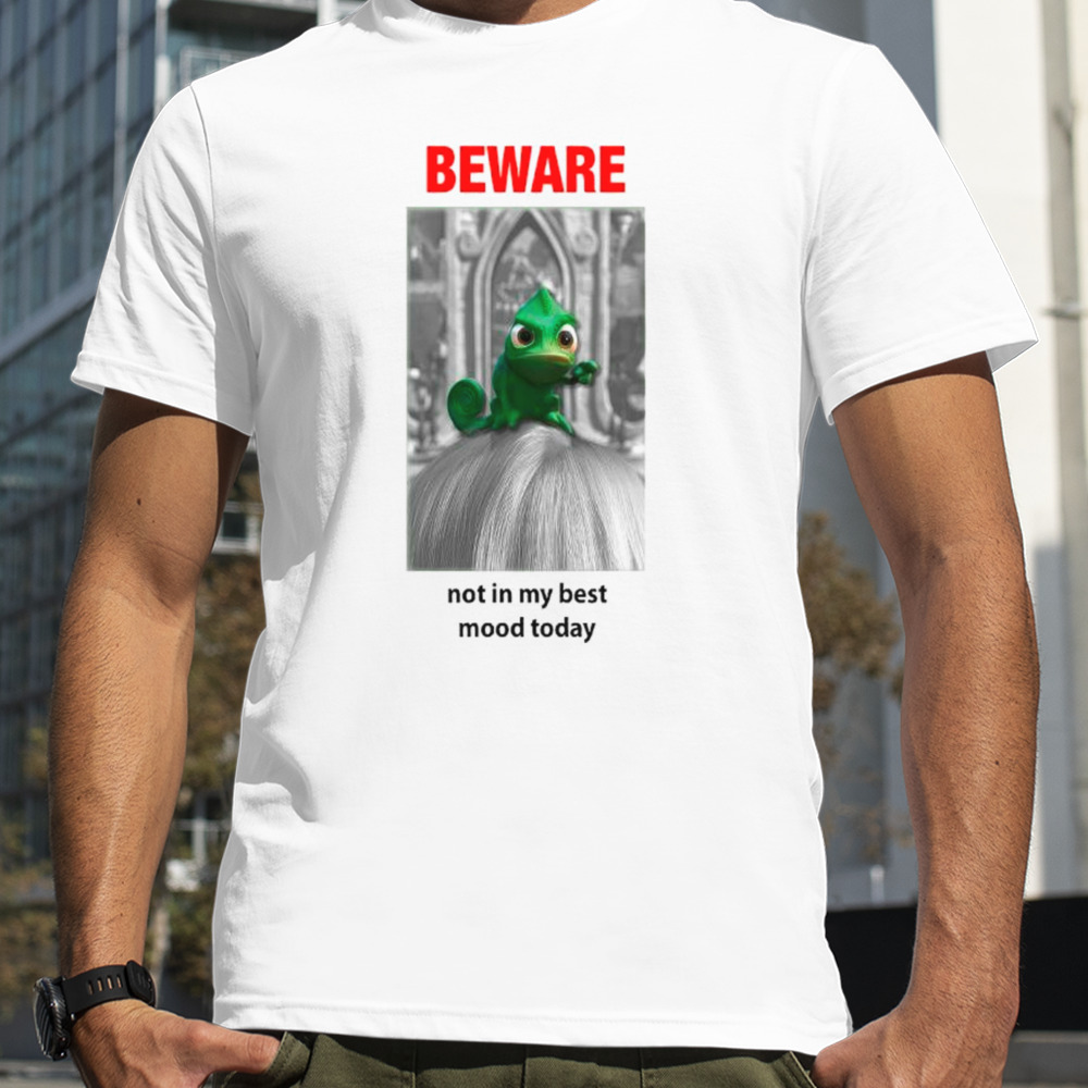 Ebgames Beware Not In My Best Mood Today Shirt