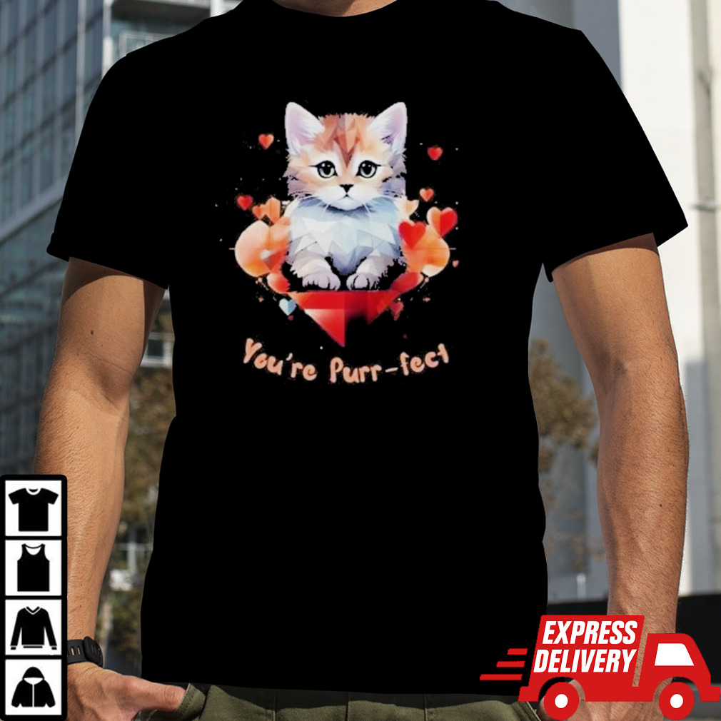 You’re Purrfect Cat Geometric Valentine Shirt