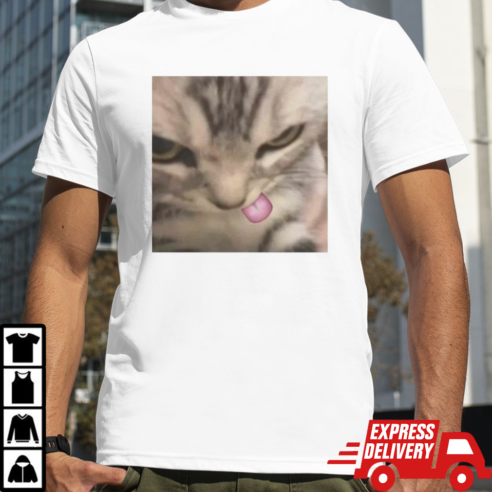 Cat Silly Kitten shirt