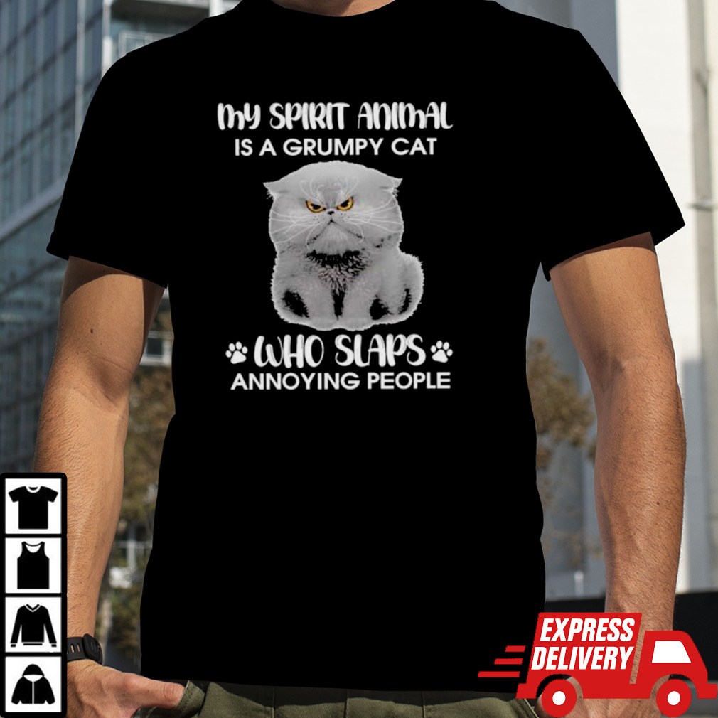 My spirit animal is a grumpy cat who slaps annoying people 2024 shirt