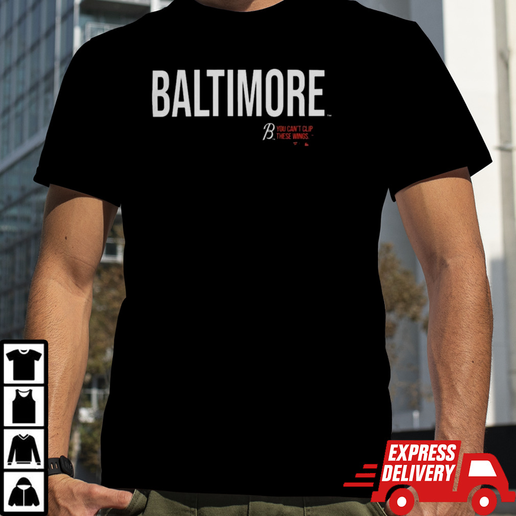 Baltimore Orioles Logo City Connect Wordmark T-Shirt