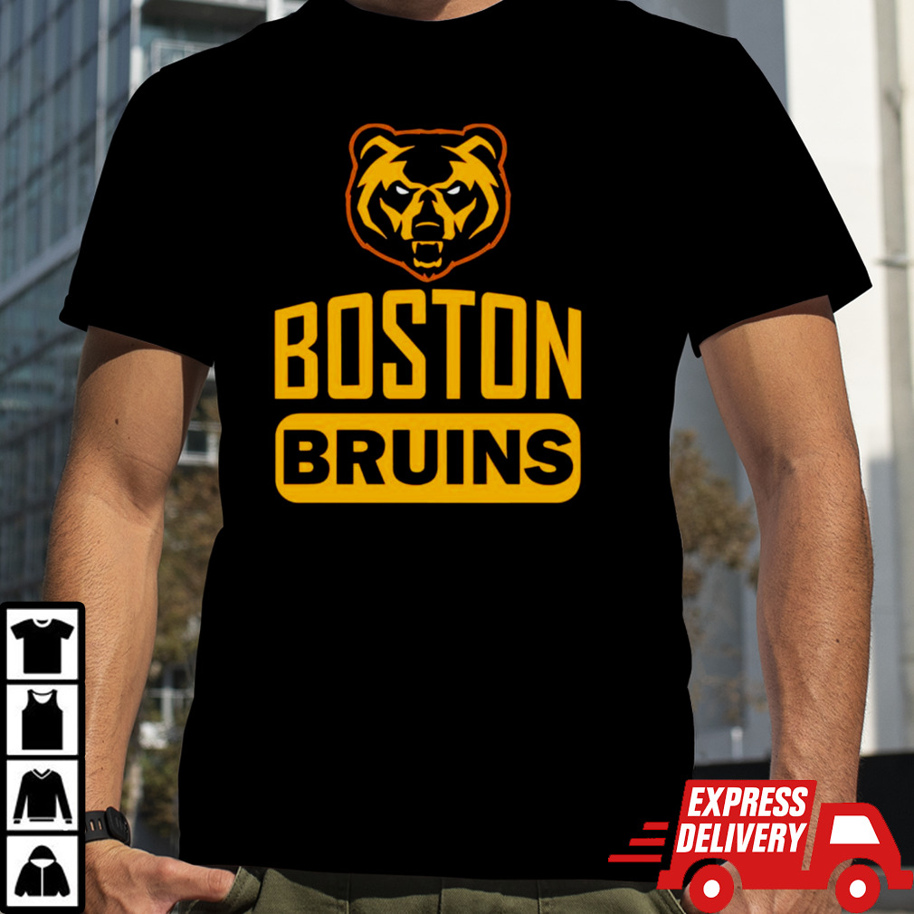 Boston Bruins Hockey Team vintage shirt