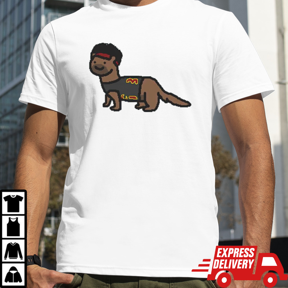 Ferret Allen NBA paint shirt