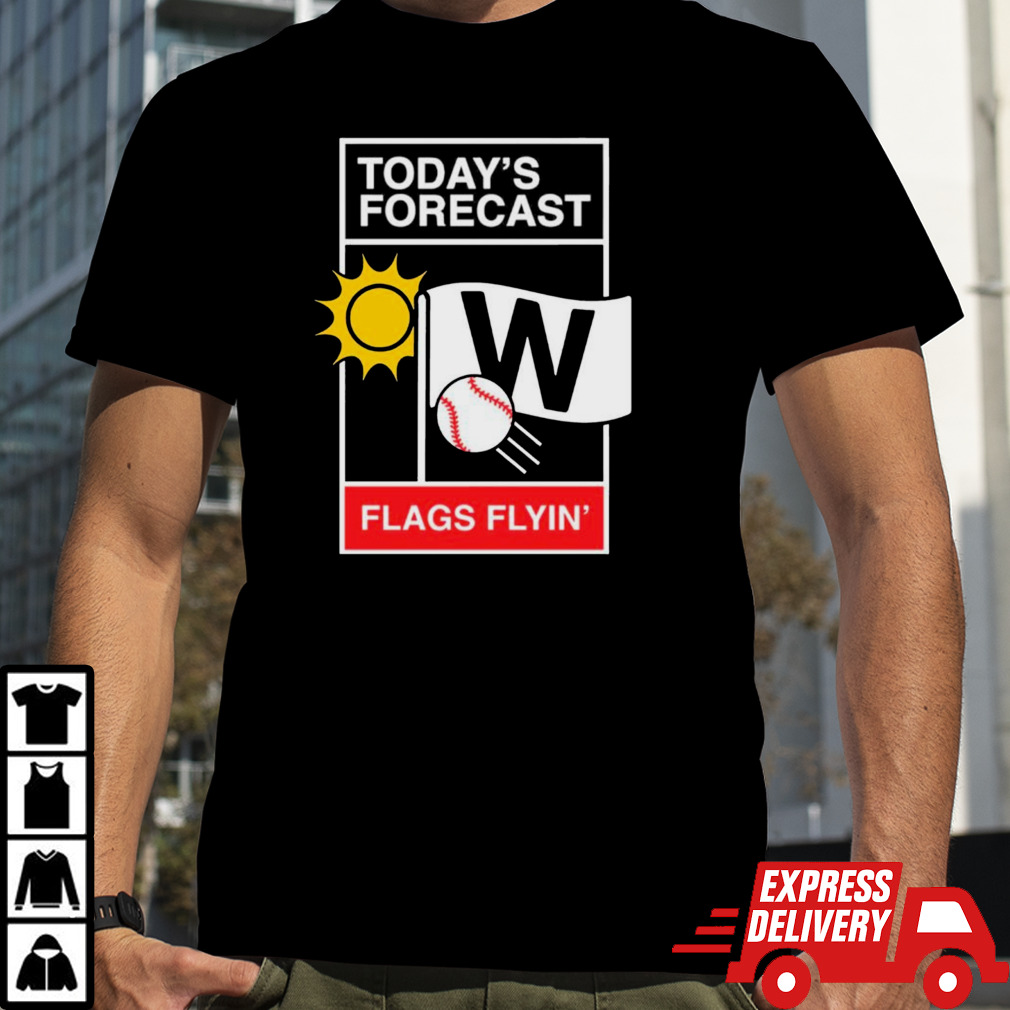 Chicago baseball weather report shirt