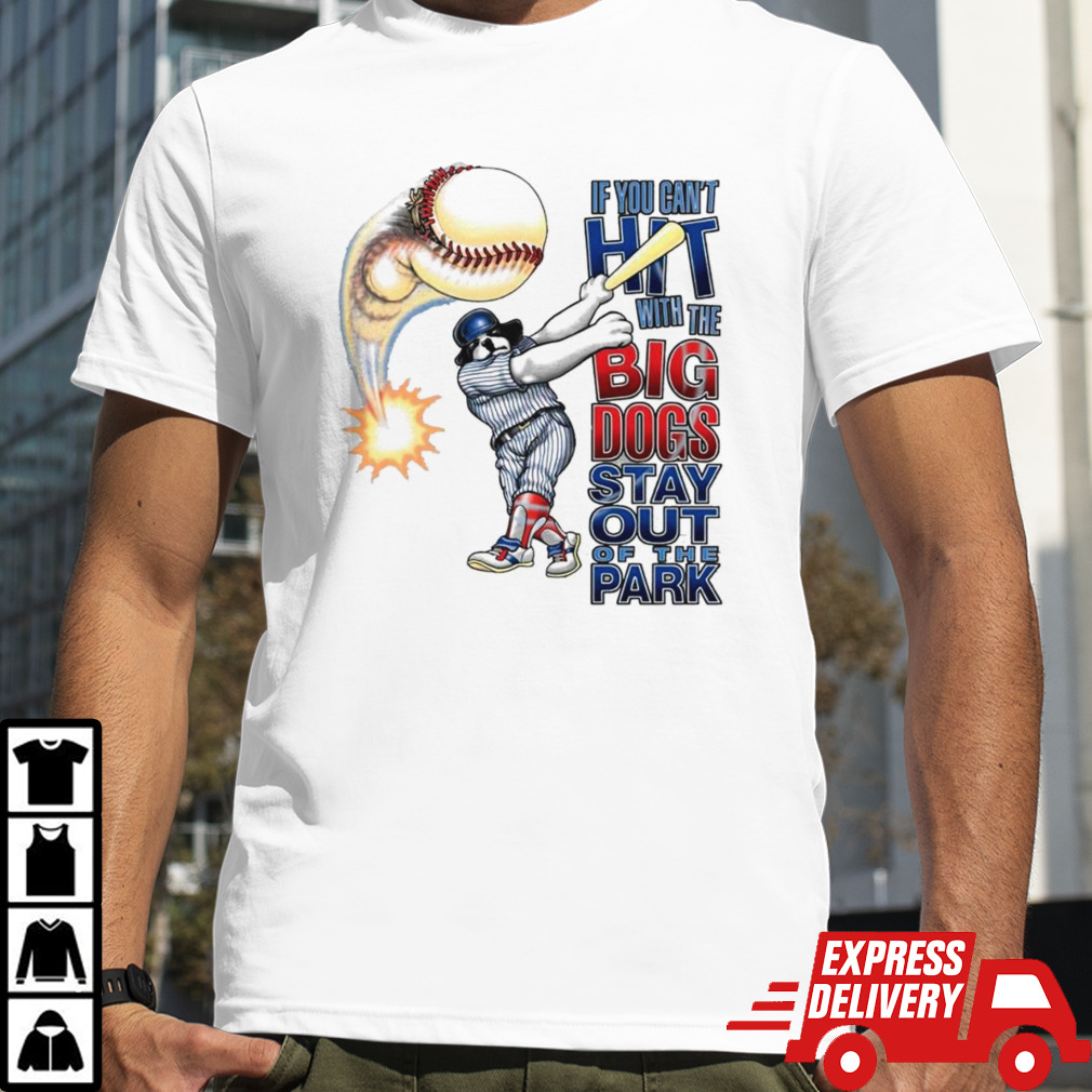 If you can’t hit with the Big Dog stay out of the park baseball shirt