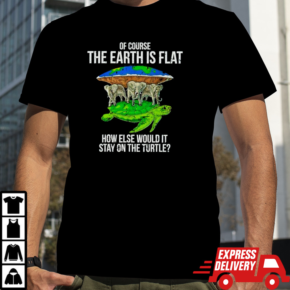 Elephant of course the earth is flat how else would it stay on the turtle shirt