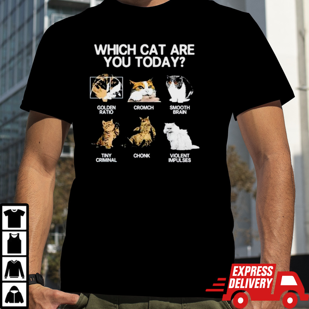 Which cat are you today golden cromch smooth brain tiny criminal chonk violent impulses shirt