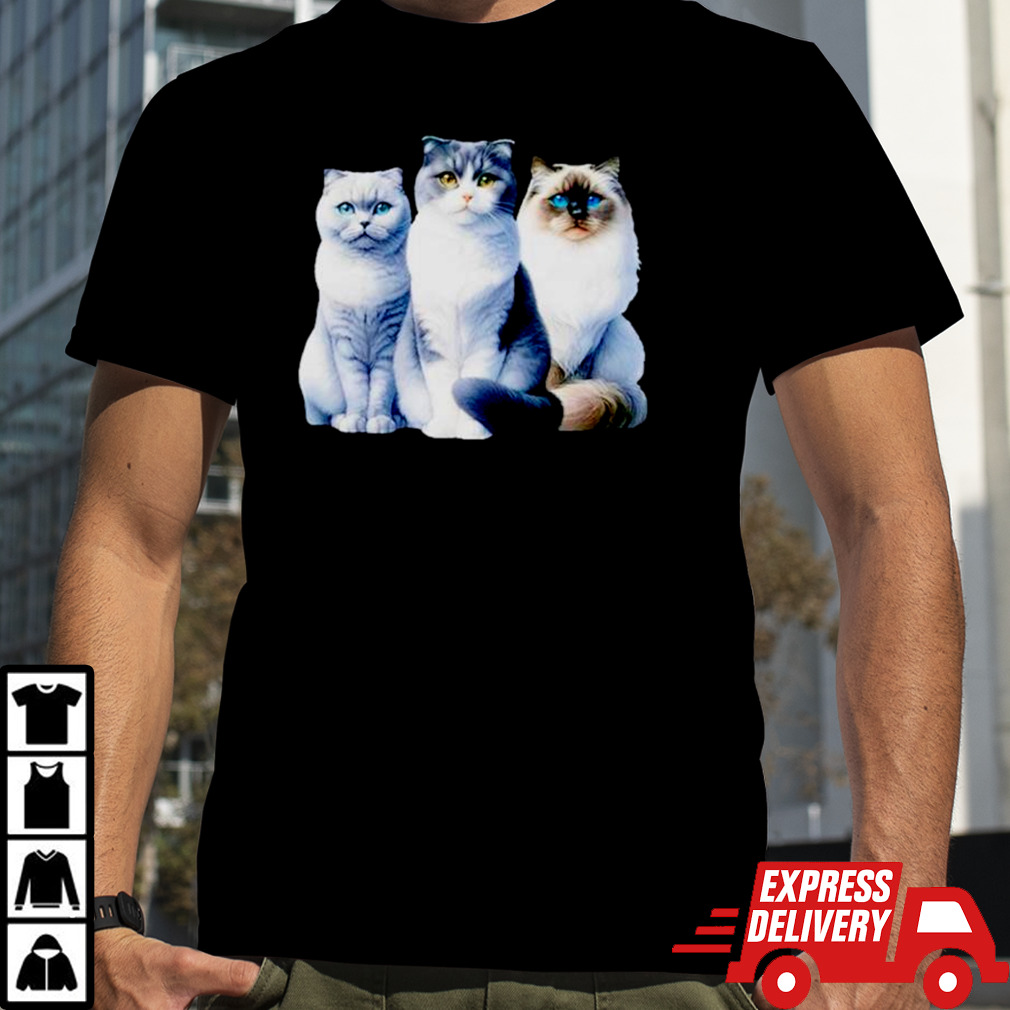 The kitty committee shirt