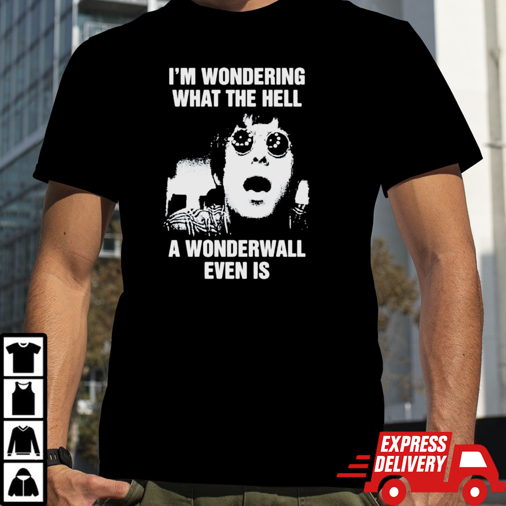 I’m wondering what the hell a wonderwall even is shirt