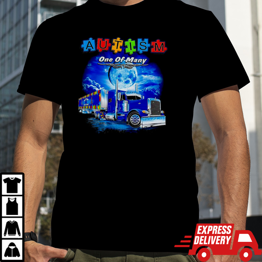 Autism one of many shirt