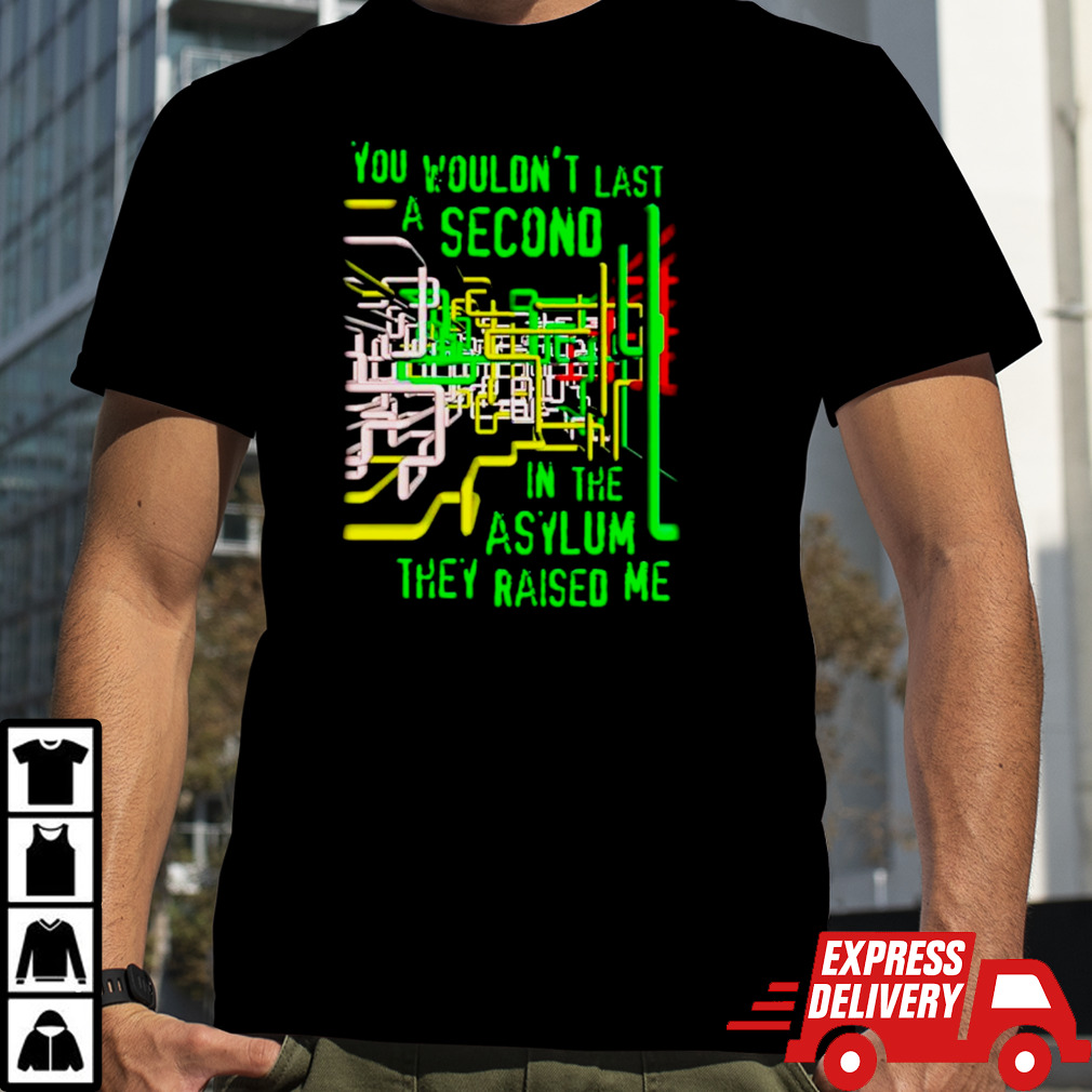 You wouldn’t last a second in the asylum they raised me shirt