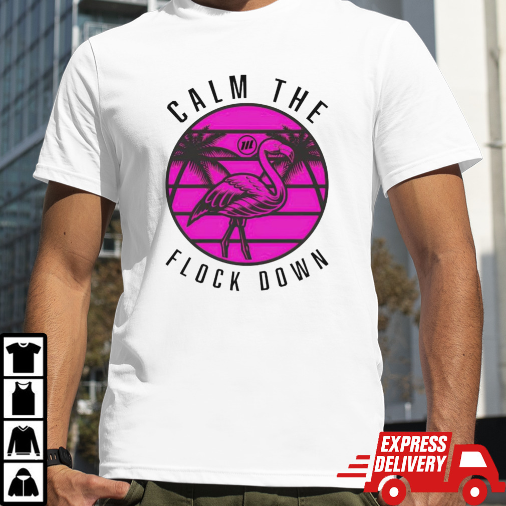 Flamingo calm the flock down shirt