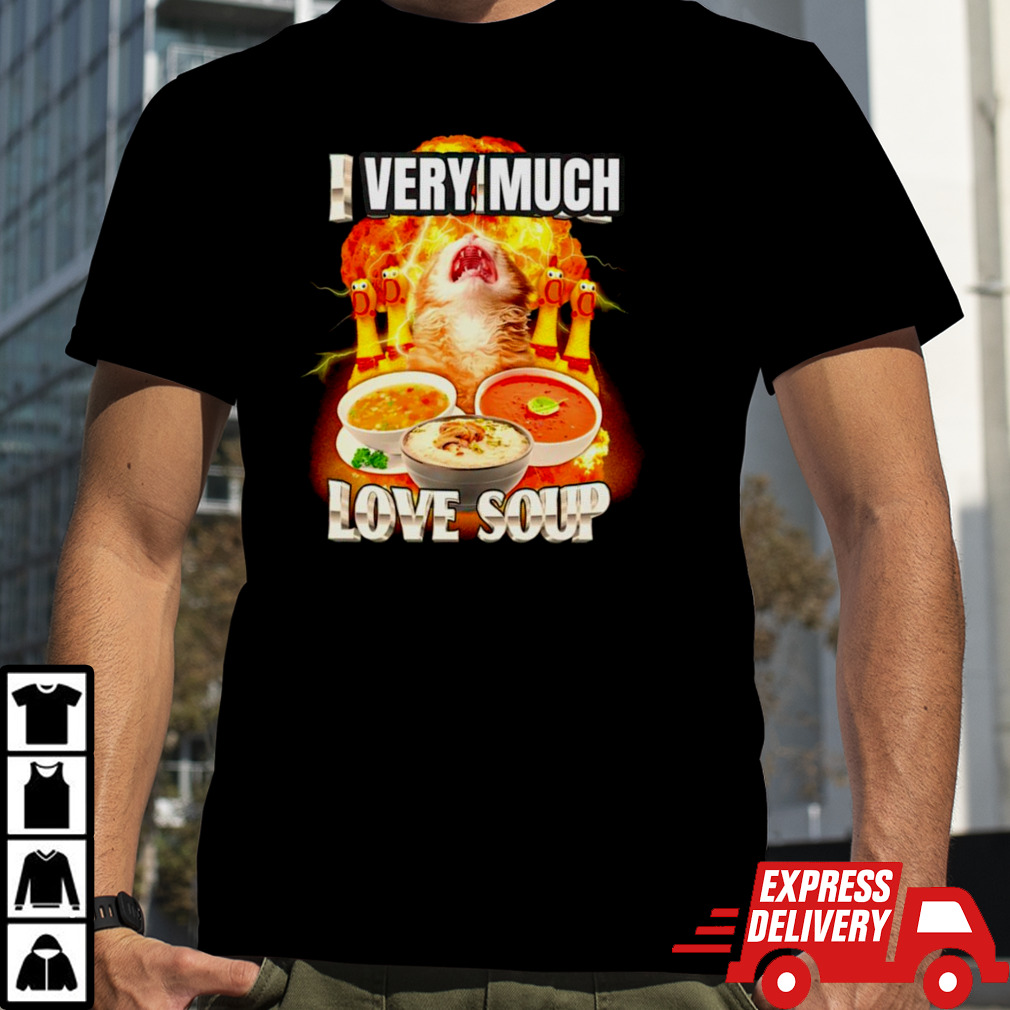 Cute cat very much love soup shirt