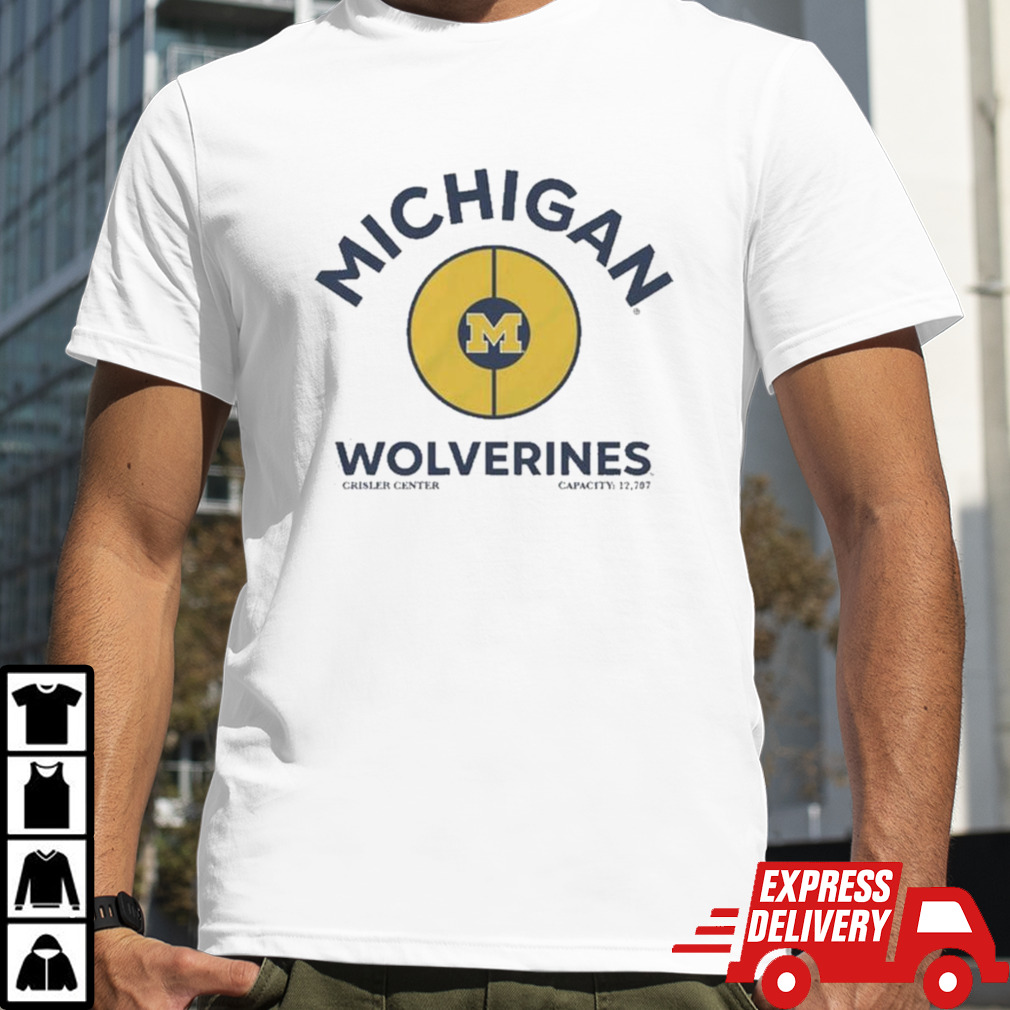 Michigan Wolverines Half Court Vintage T-shirt